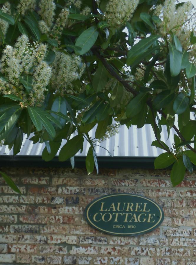 Laurel Cottage Richmond Kültér fotó
